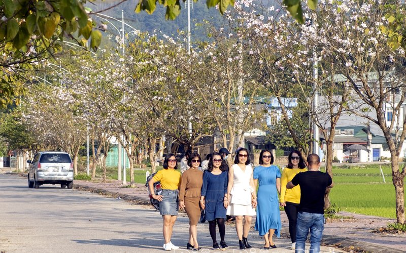 Khai mạc Lễ hội Hoa Ban gắn với ng&agrave;y mở m&agrave;n Chiến dịch Điện Bi&ecirc;n Phủ