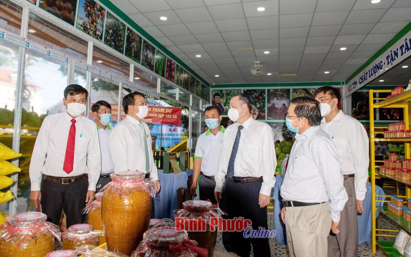 Kinh tế hợp tác đang phát huy đúng tầm