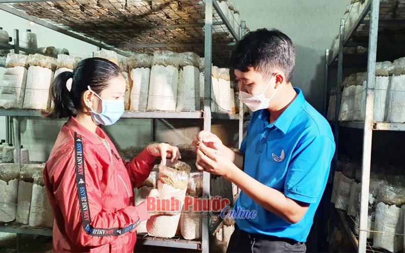 Lan tỏa tinh thần khởi nghiệp trong thanh niên