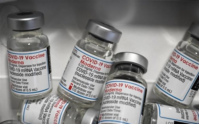 Moderna chuẩn bị xin FDA cấp phép sử dụng vaccine cho trẻ dưới 6 tuổi