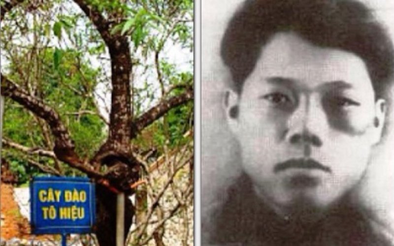 “Tinh thần Tô Hiệu”