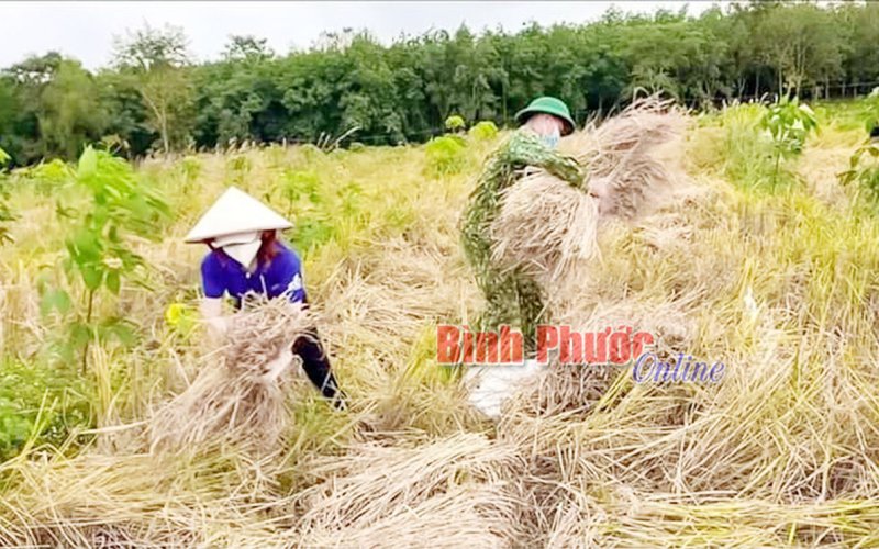 Tô thắm nét đẹp tuổi trẻ Lộc Ninh