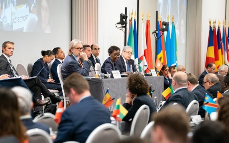 Việt Nam chia sẻ kinh nghiệm phòng, chống thông tin sai lệch tại CMF