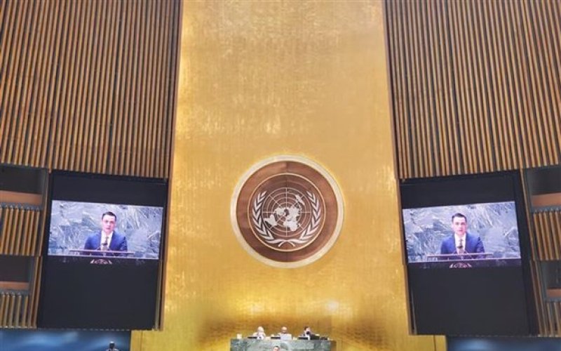 Việt Nam ủng hộ, sẵn sàng tham gia các nỗ lực nhân đạo đối với Ukraine