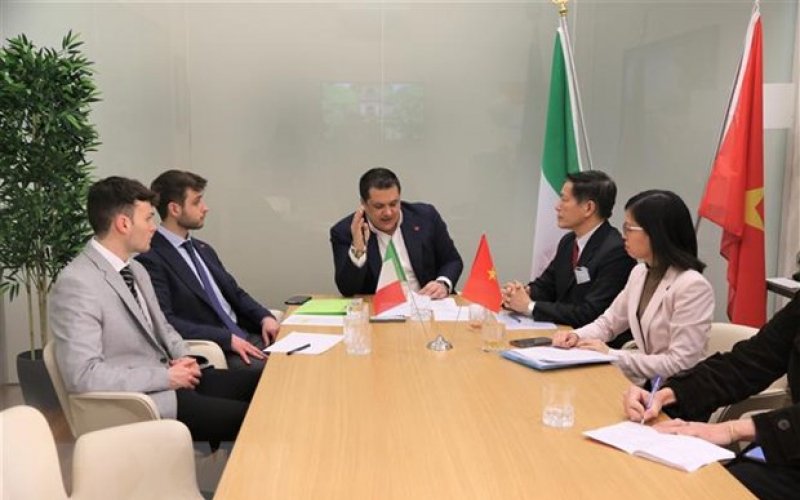 Vụ 100 container điều xuất sang Italy: Hãng tàu tạm thời ngừng giao hàng để hỗ trợ điều tra