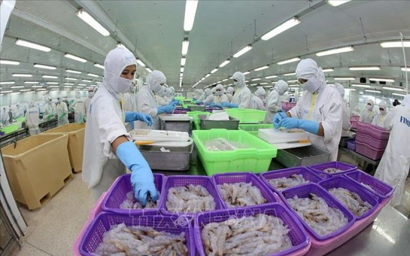 WB: Kinh tế Việt Nam tiếp tục phục hồi dù tăng trưởng có xu hướng giảm tốc