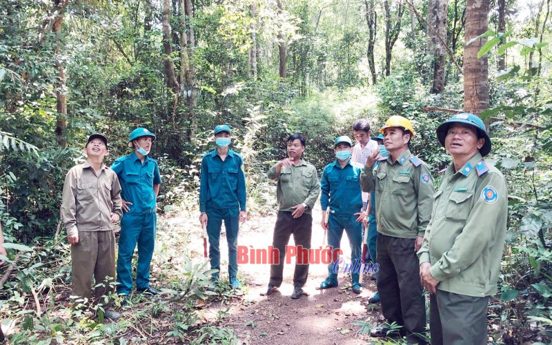 Ðảm bảo an toàn cho những cánh rừng