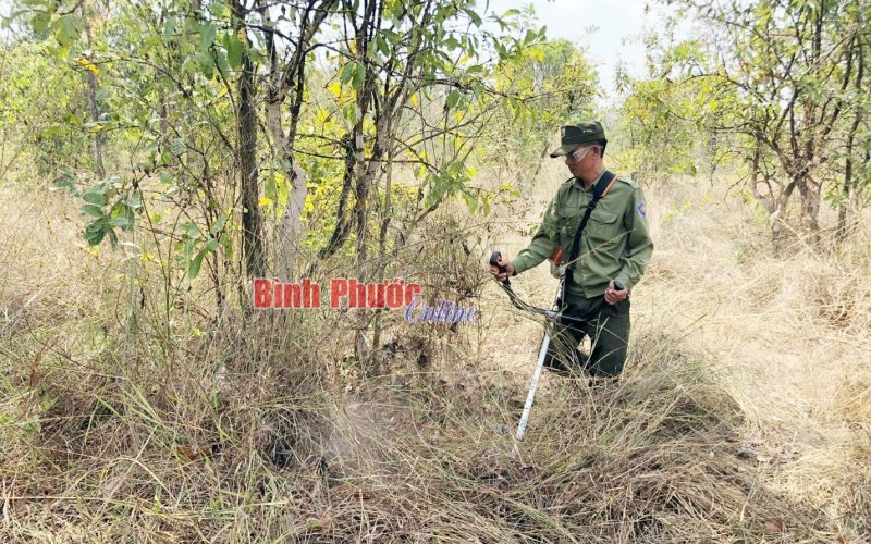 Bảo vệ nghiêm diện tích rừng hiện có