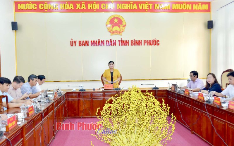 Bình Phước làm việc với Ngân hàng ADB về dự án thích ứng biến đổi khí hậu