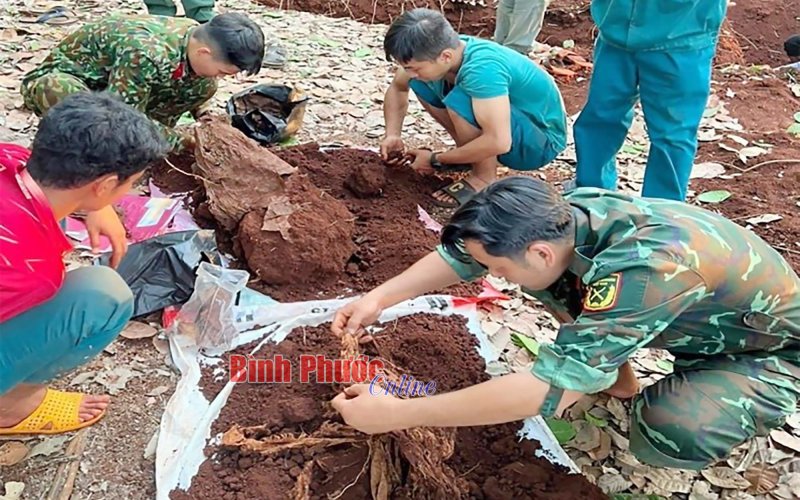 Bình Phước: Phát hiện, cất bốc 13 hài cốt liệt sĩ