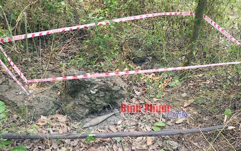 Bình Phước: Phát hiện quả đạn cối trong vườn điều