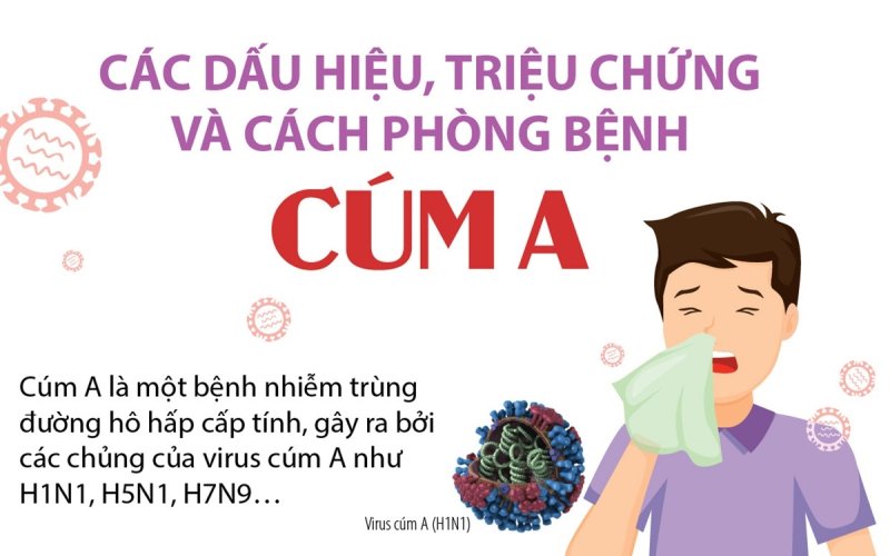 C&aacute;c dấu hiệu, triệu chứng v&agrave; c&aacute;ch ph&ograve;ng bệnh c&uacute;m A