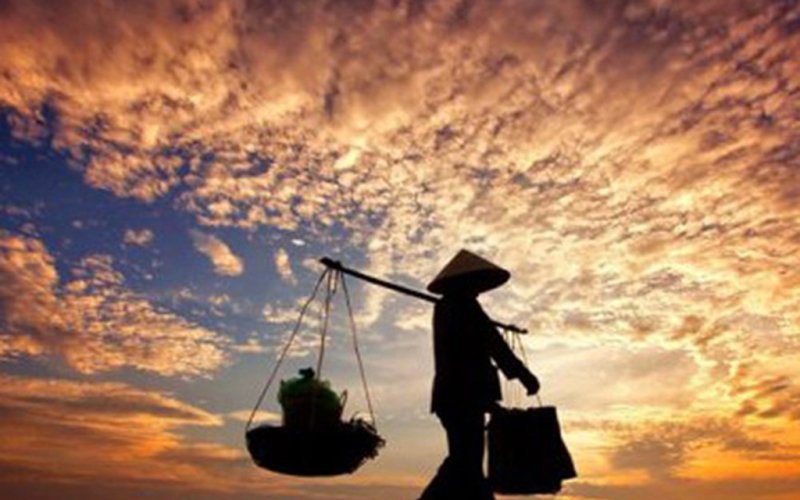Cây xương rồng của con
