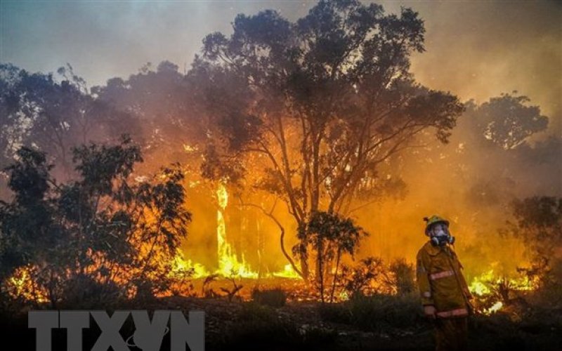 Cháy rừng tại Australia khiến lỗ thủng tầng ozone ở Nam Cực rộng thêm