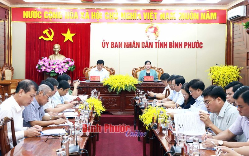 Đảm bảo hội nghị tổng kết chương trình hợp tác phát triển diễn ra đúng kế hoạch