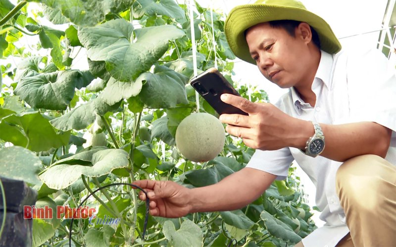 Đảng bộ tỉnh lãnh đạo nông dân trong thời kỳ đẩy mạnh công nghiệp hóa, hiện đại hóa