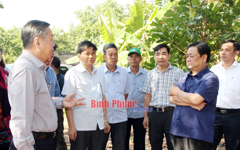 Đoàn công tác Bộ NN&PTNT khảo sát xây dựng nông thôn mới tại Bình Phước