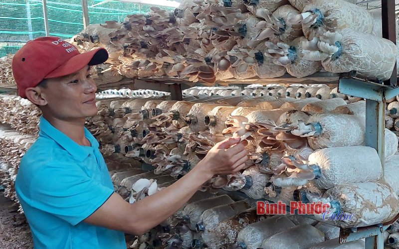 Đổi mới tư duy để phát triển kinh tế