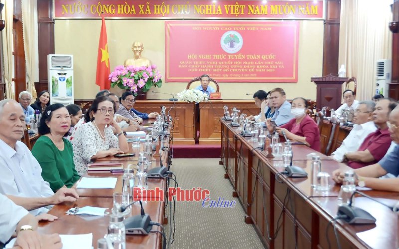 Hội Người cao tuổi nghiên cứu, quán triệt Hội nghị lần thứ sáu, Ban Chấp hành Trung ương Đảng khóa XIII