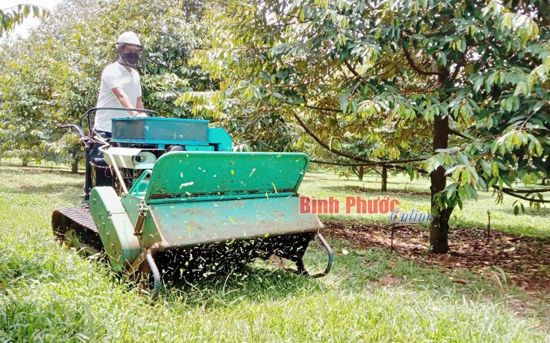 Khuyến khích phát triển cơ giới hóa đồng bộ trong nông nghiệp