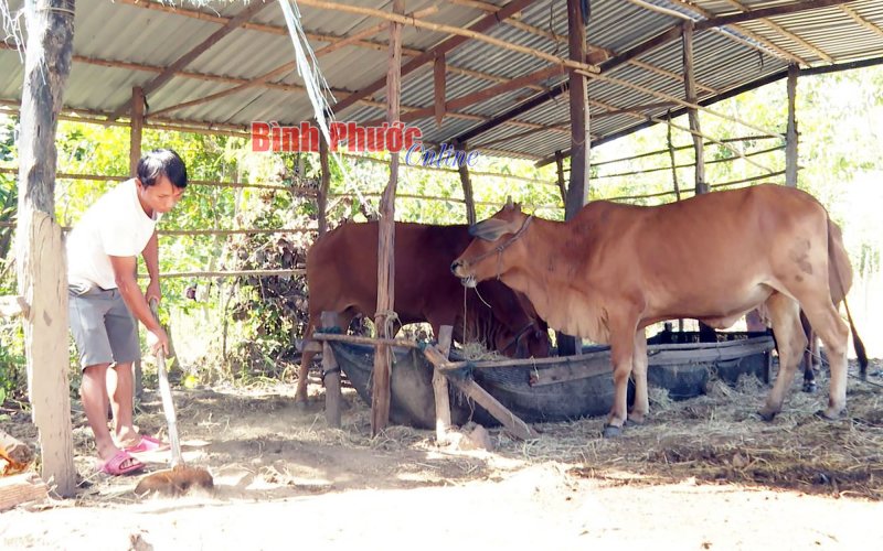 “Ðòn bẩy” từ Quỹ Hỗ trợ nông dân