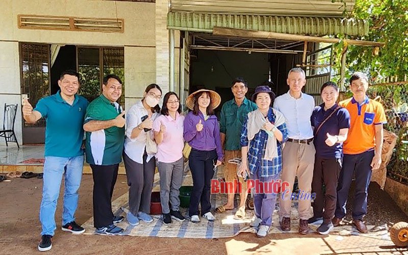 Phát triển chuỗi cung ứng hồ tiêu bền vững