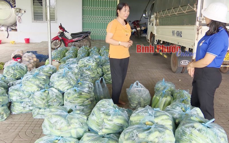 Rau củ được mùa, mất giá