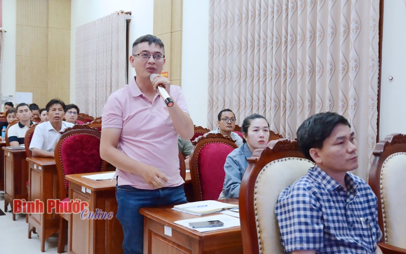 Bình Phước: Thông tin, đánh giá về triển vọng giá điều thô và điều nhân