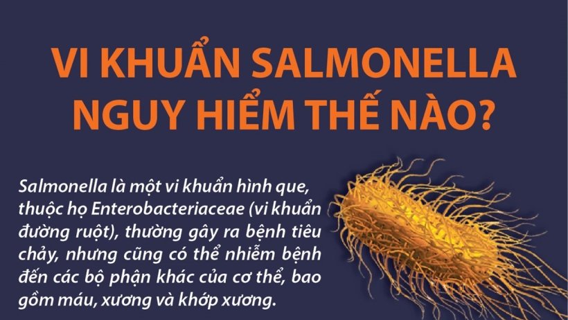 Cảnh giác với sự nguy hiểm của vi khuẩn Salmonella