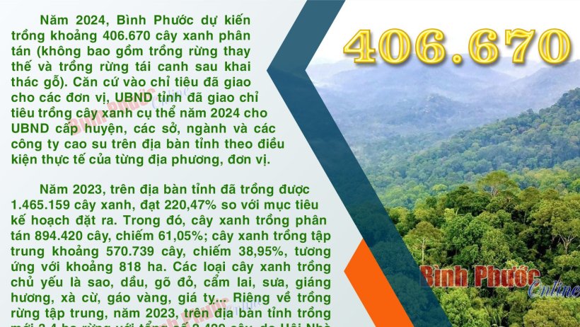 Năm 2024, Bình Phước dự kiến trồng khoảng 406.670 cây xanh phân tán