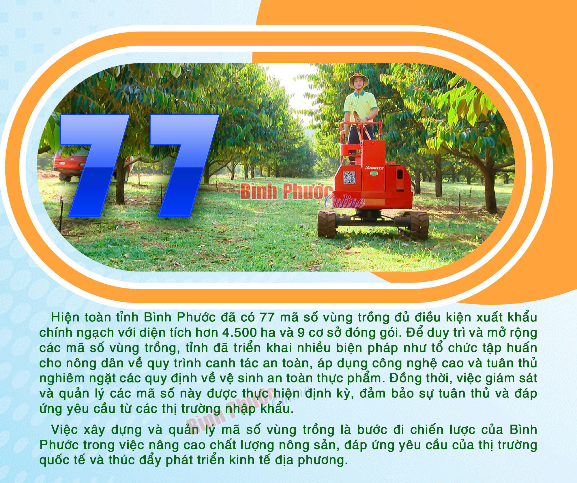 Bình Phước: Xây dựng và quản lý mã số vùng trồng, nâng cao giá trị nông sản