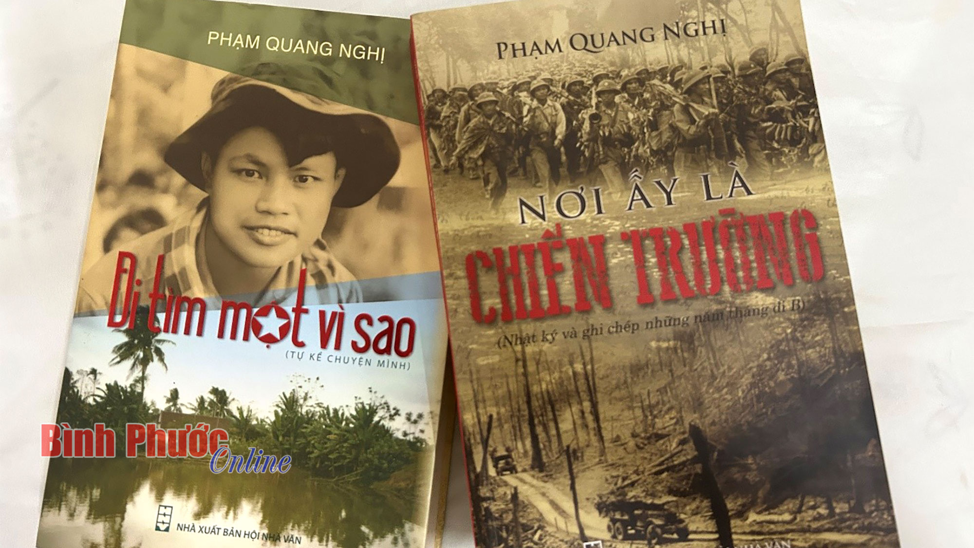 Đàn chó hoang ở Bù Đốp và nỗi ám ảnh về chiến tranh