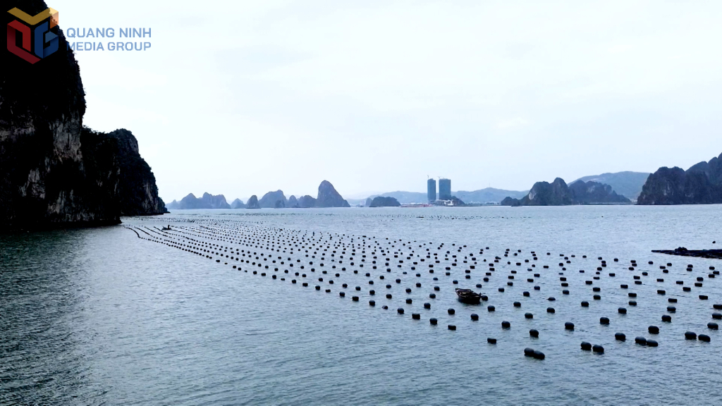 Để phát triển bền vững kinh tế biển