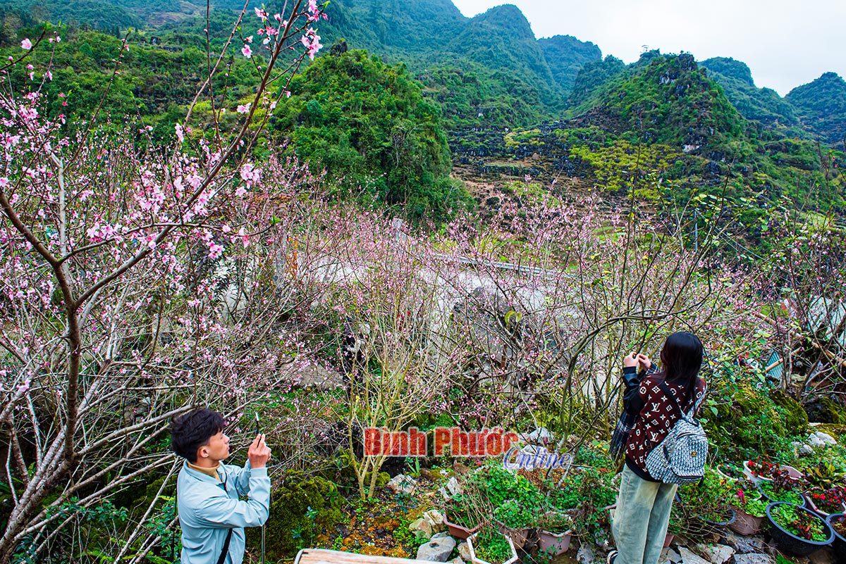 Hà Giang - Miền đá nở hoa