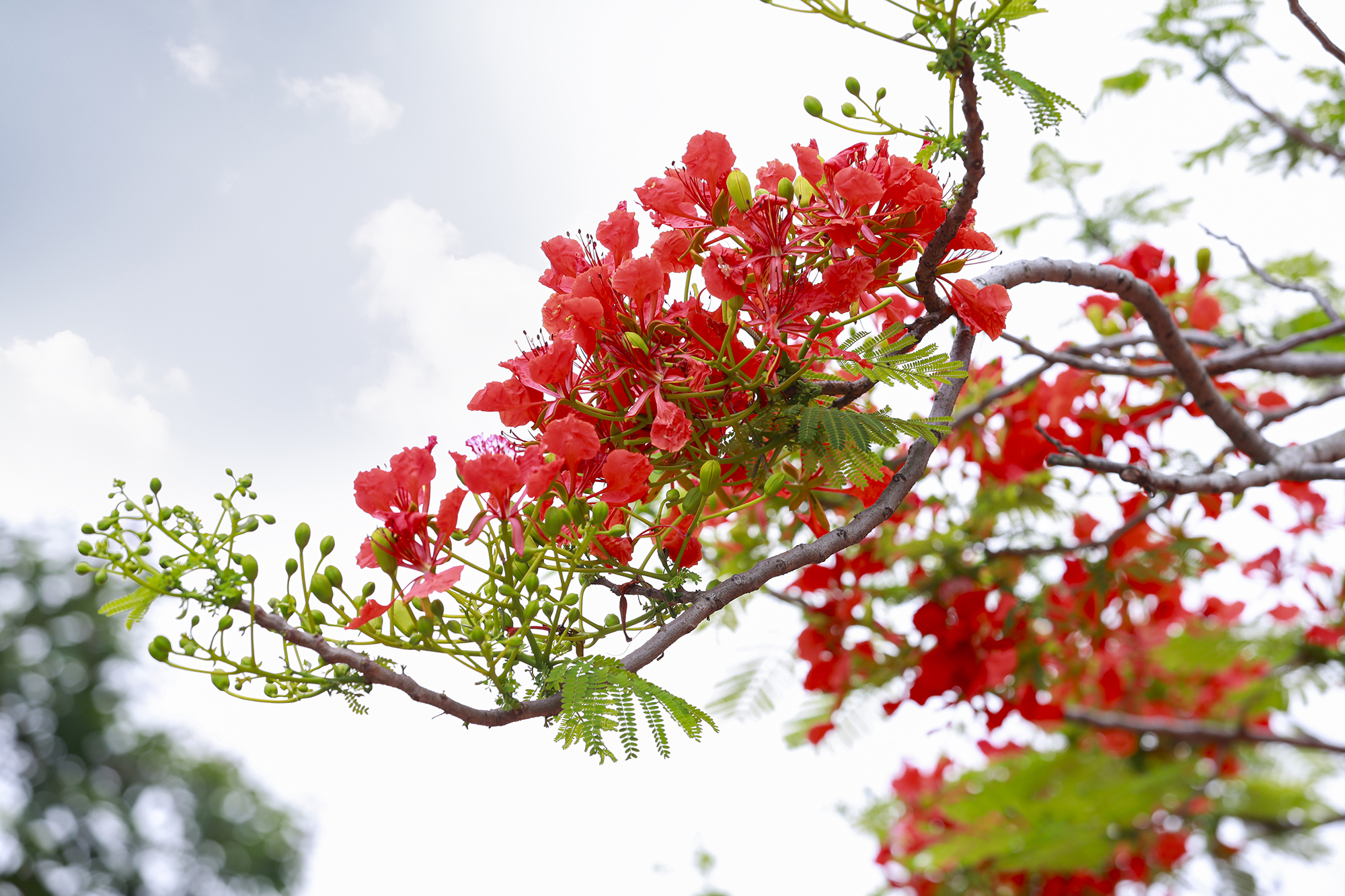 Làm bạn cùng con