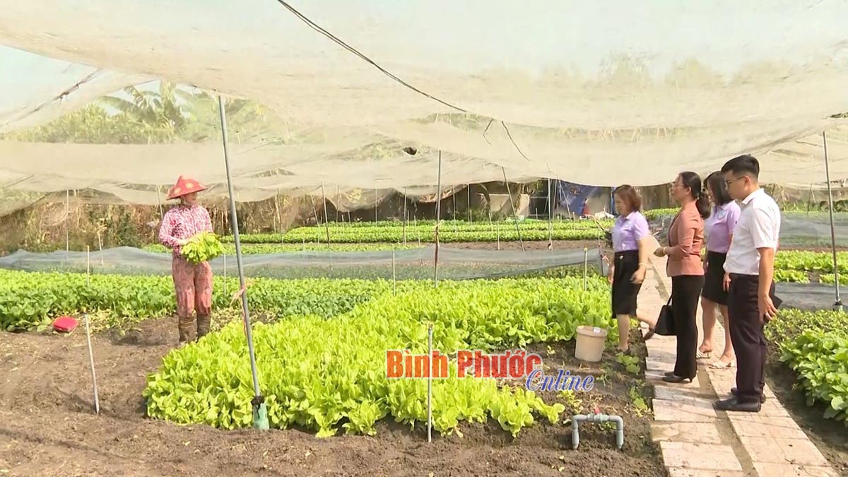 Nâng cao hiệu quả của tín dụng chính sách xã hội