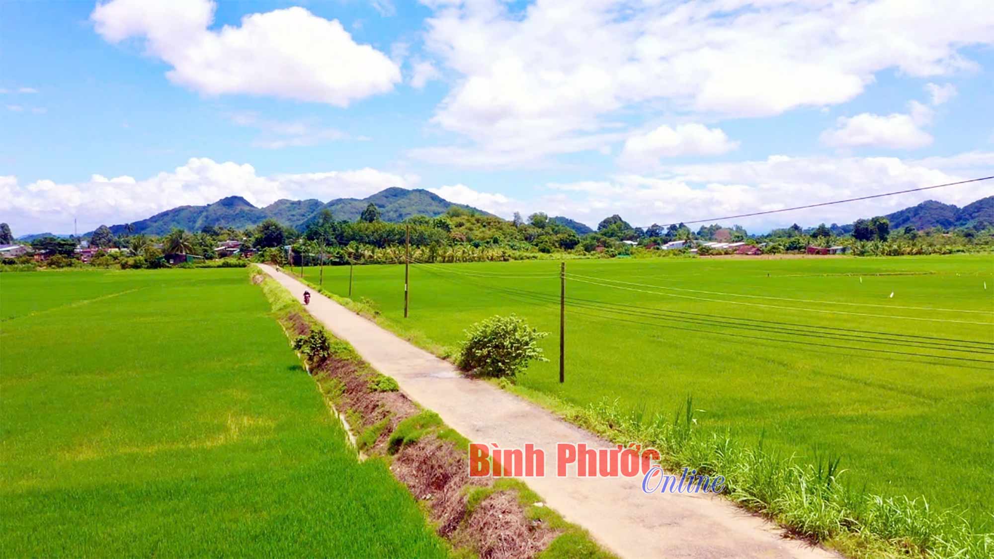 Quy định diện tích đất để xây dựng công trình phục vụ trực tiếp sản xuất nông nghiệp khi được chuyển đổi cơ cấu