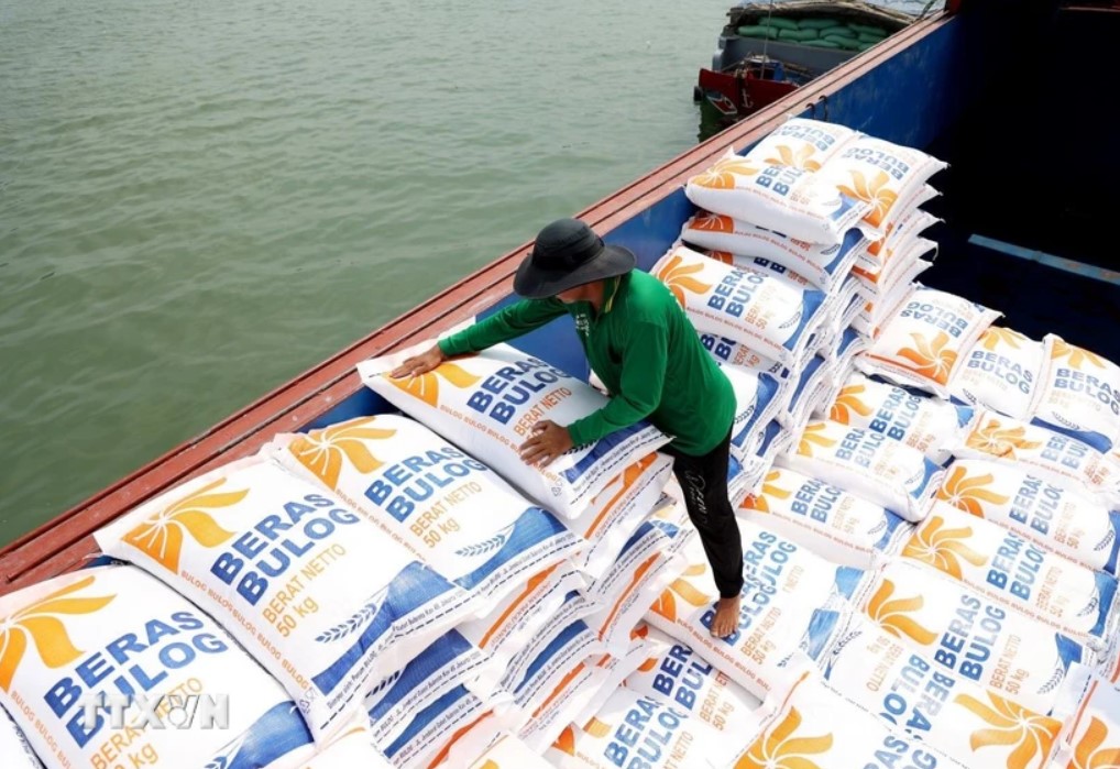 Thủ tướng yêu cầu nâng cao năng lực cạnh tranh, làm lành mạnh thị trường lúa gạo