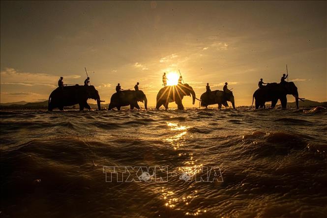 Về với Tây Nguyên đại ngàn 'mùa con ong đi lấy mật'