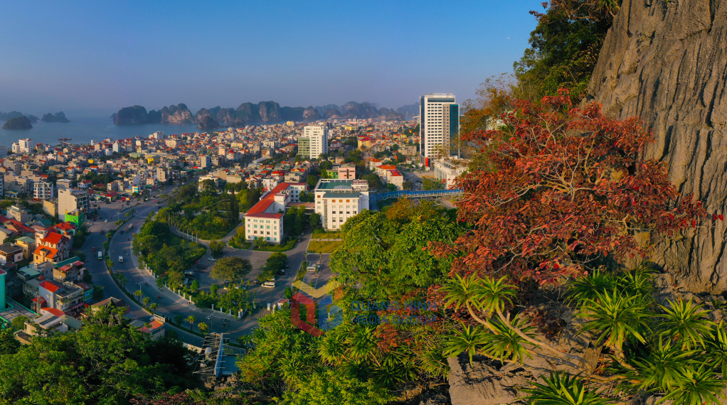 Vịnh Hạ Long đẹp thơ mộng trong mùa lá đỏ