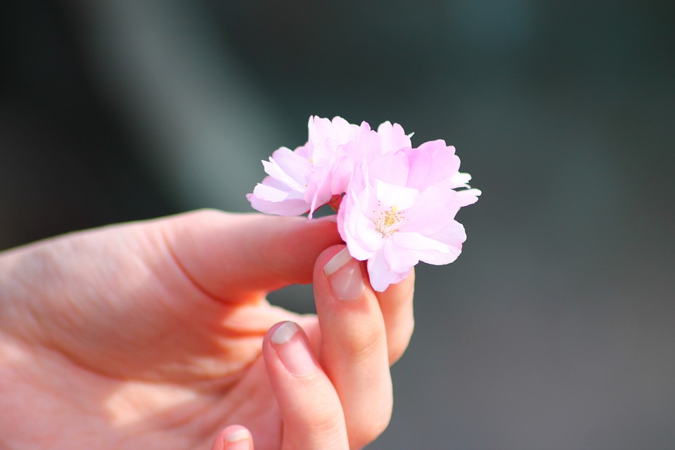Yêu thương đong đầy năm tháng