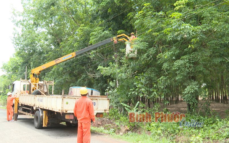 Chung tay bảo vệ an toàn hành lang lưới điện