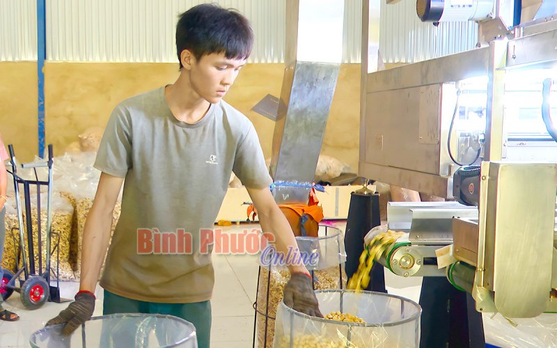 Đẩy mạnh ứng dụng KH-CN, doanh nghiệp điều vững bước đi lên