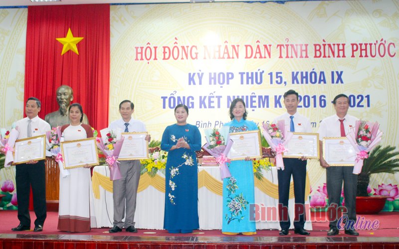 HĐND tỉnh khóa IX - Nhiệm kỳ nhiều dấu ấn 