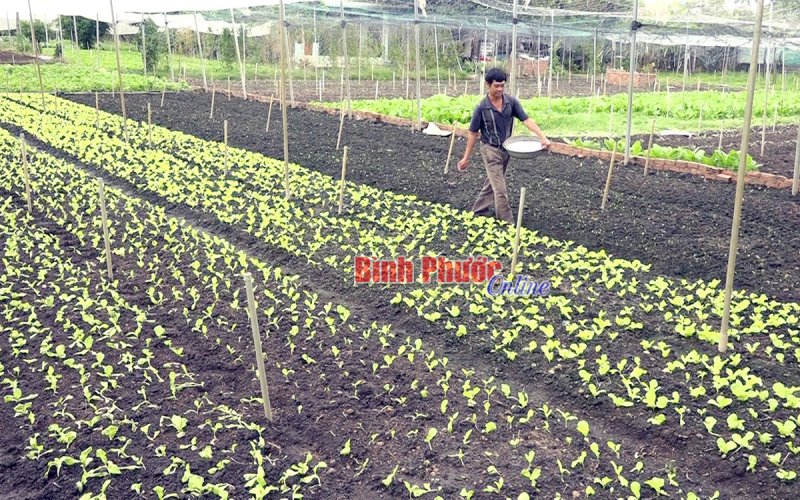 Hướng đi cho nông nghiệp sạch