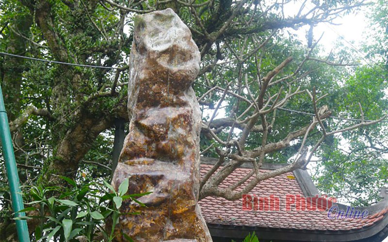 Lời thề tr&ecirc;n đỉnh non thi&ecirc;ng