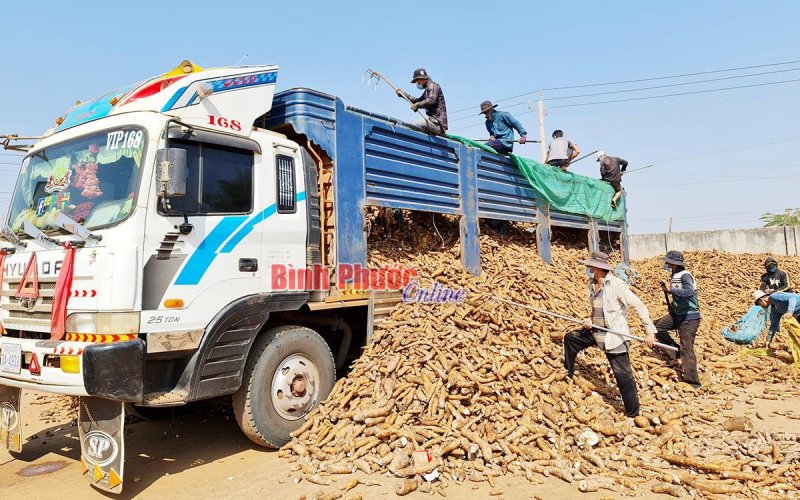 Phát huy thế mạnh thúc đẩy thương mại biên giới 