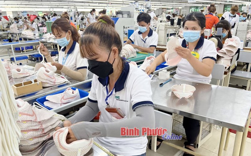 100% doanh nghiệp ổn định sản xuất trở lại