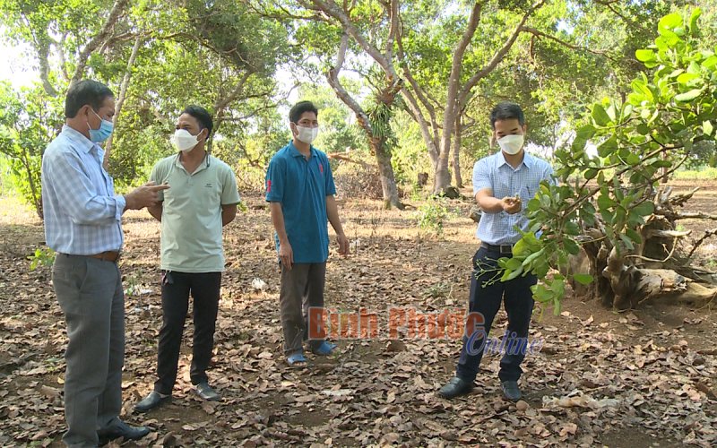 Bình Phước: Quý 1/2022, công tác dân tộc gặp khó khăn