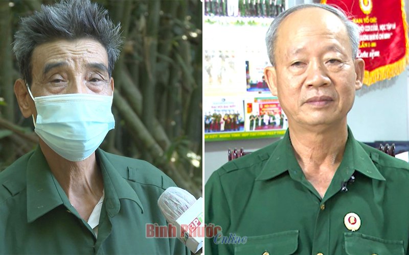 Hòa bình - khát vọng muôn đời